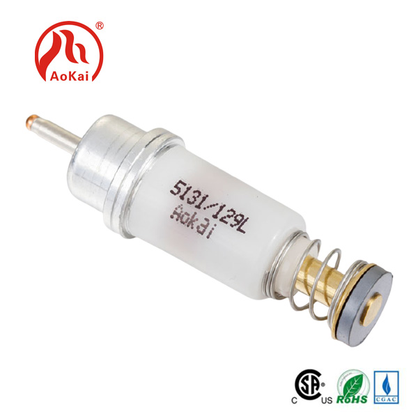 Wetter Heaters Solenoid Valve